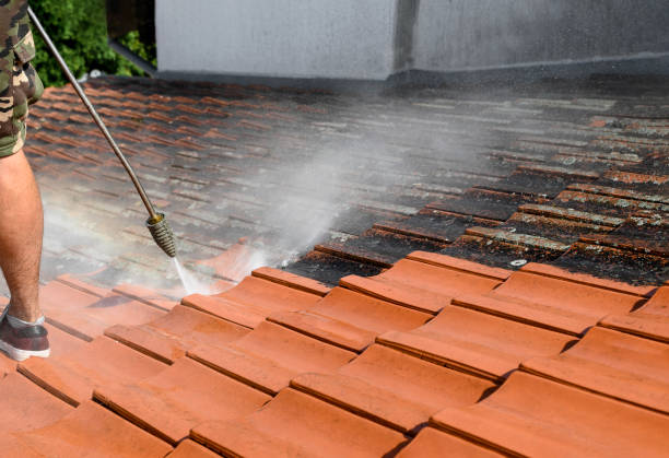 Best Roof Pressure Washing  in Colesville, MD