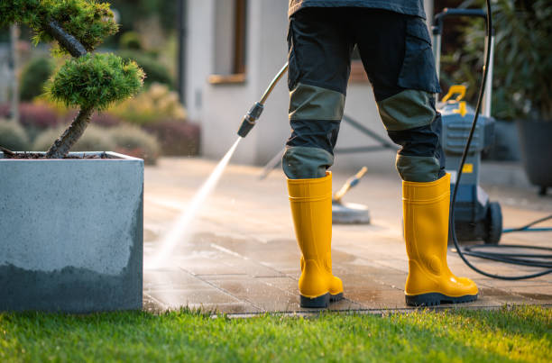 Best Pressure Washing Driveway  in Colesville, MD